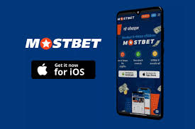 Mostbet Application Download